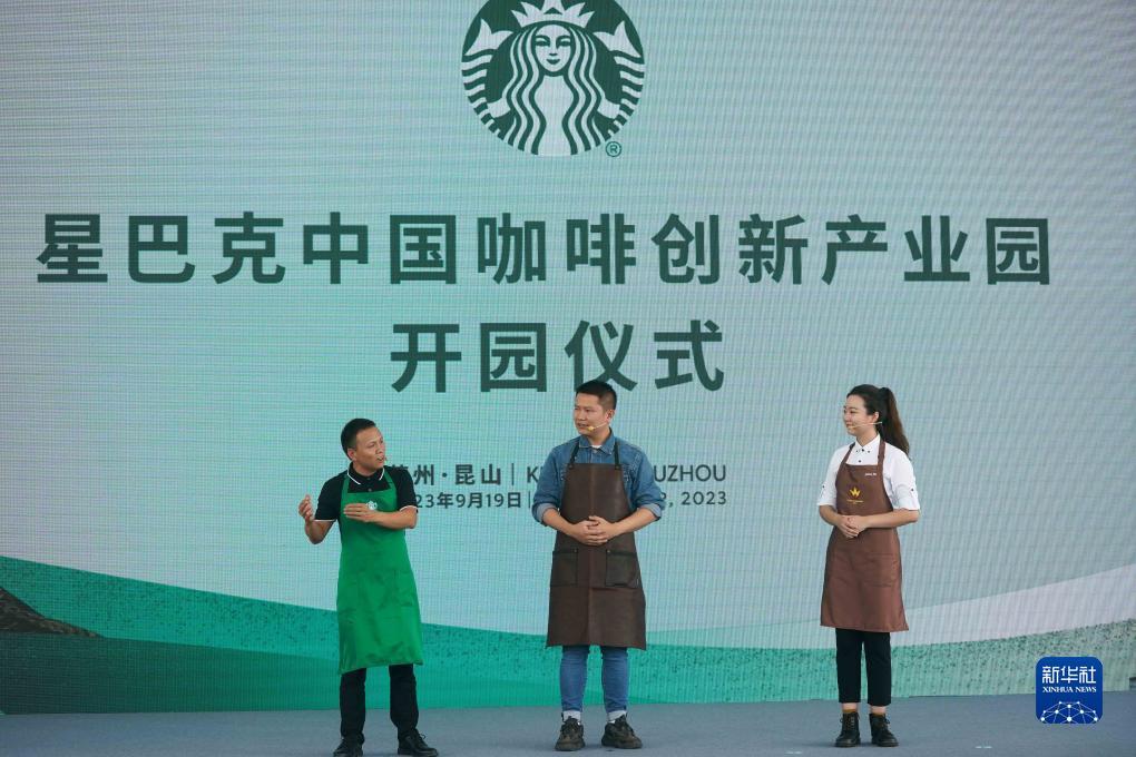 网络金沙网站